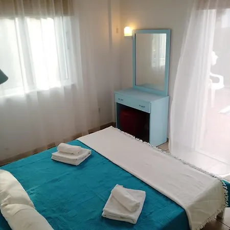 Chrysanthemum Νέο Χωριό