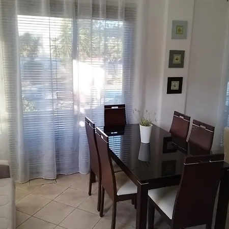 Chrysanthemum Νέο Χωριό