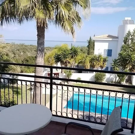 Chrysanthemum Νέο Χωριό