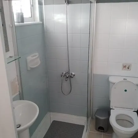 Chrysanthemum Βίλα *