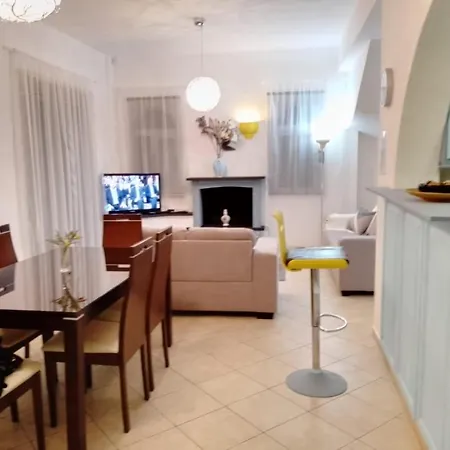 Chrysanthemum * Νέο Χωριό