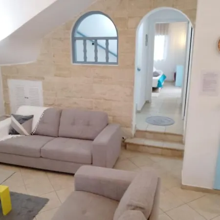 Chrysanthemum Νέο Χωριό