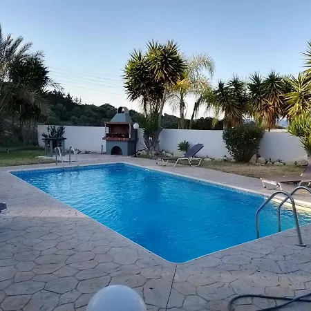 Chrysanthemum Νέο Χωριό