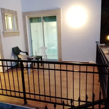 Chrysanthemum Βίλα *