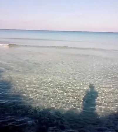 Chrysanthemum Βίλα Νέο Χωριό