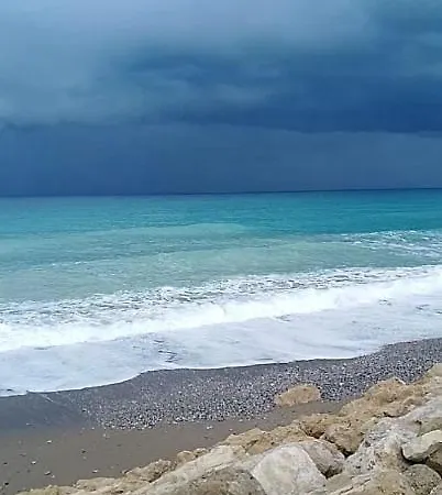 Chrysanthemum Βίλα