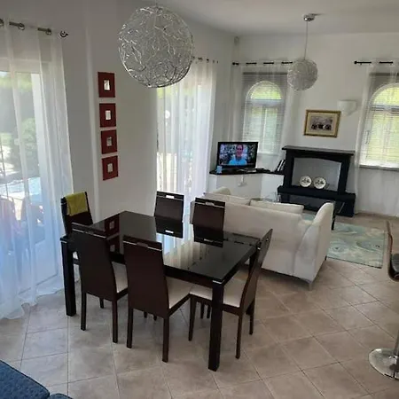 Chrysanthemum Νέο Χωριό