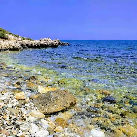 Βίλα Chrysanthemum *