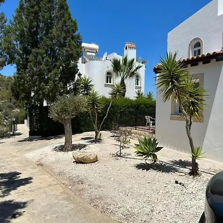 Chrysanthemum Νέο Χωριό