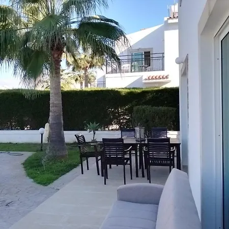 Chrysanthemum Νέο Χωριό