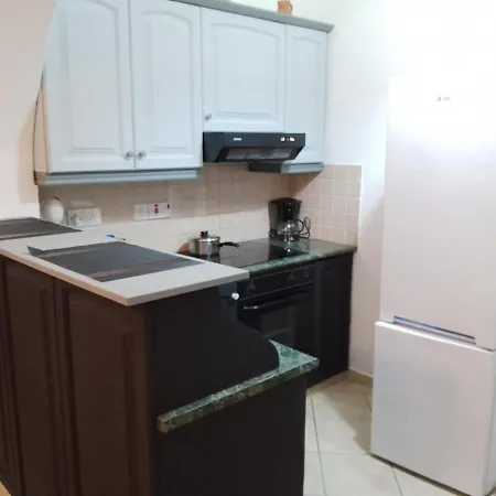 Chrysanthemum Νέο Χωριό