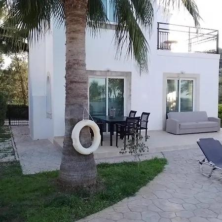 Chrysanthemum Νέο Χωριό