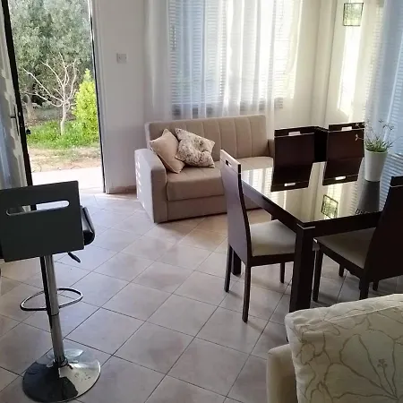Villa Chrysanthemum *