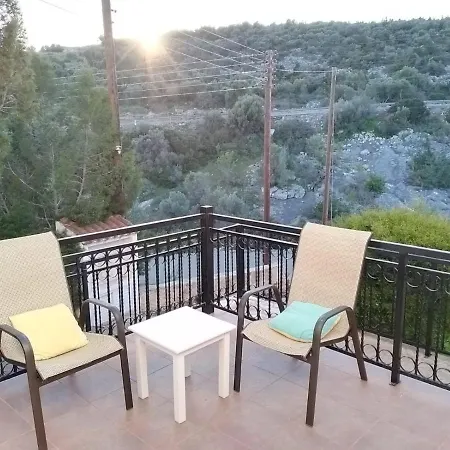 Chrysanthemum Νέο Χωριό