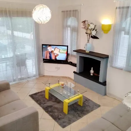 Chrysanthemum Βίλα