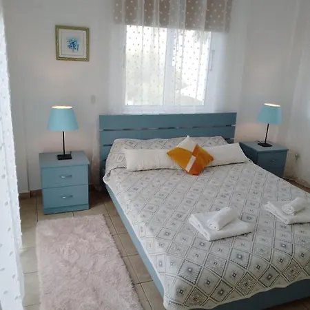 Chrysanthemum Villa *