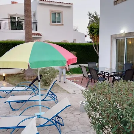 Chrysanthemum Neo Chorio