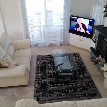 Chrysanthemum Βίλα *