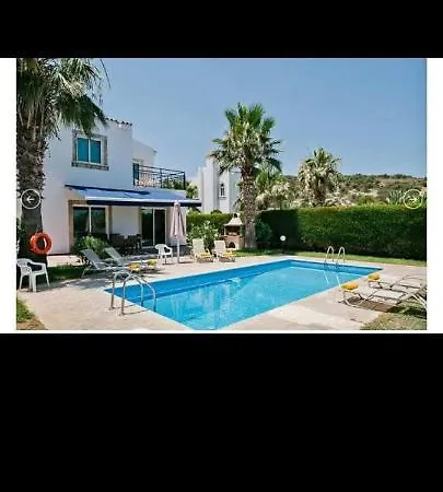 Chrysanthemum Villa *