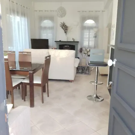 Chrysanthemum Villa *