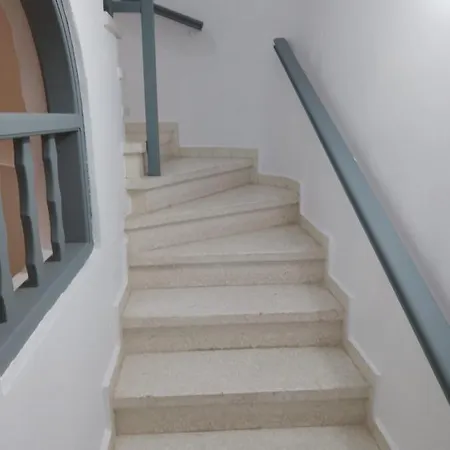 Chrysanthemum Villa