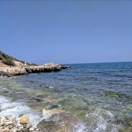 Βίλα Chrysanthemum *